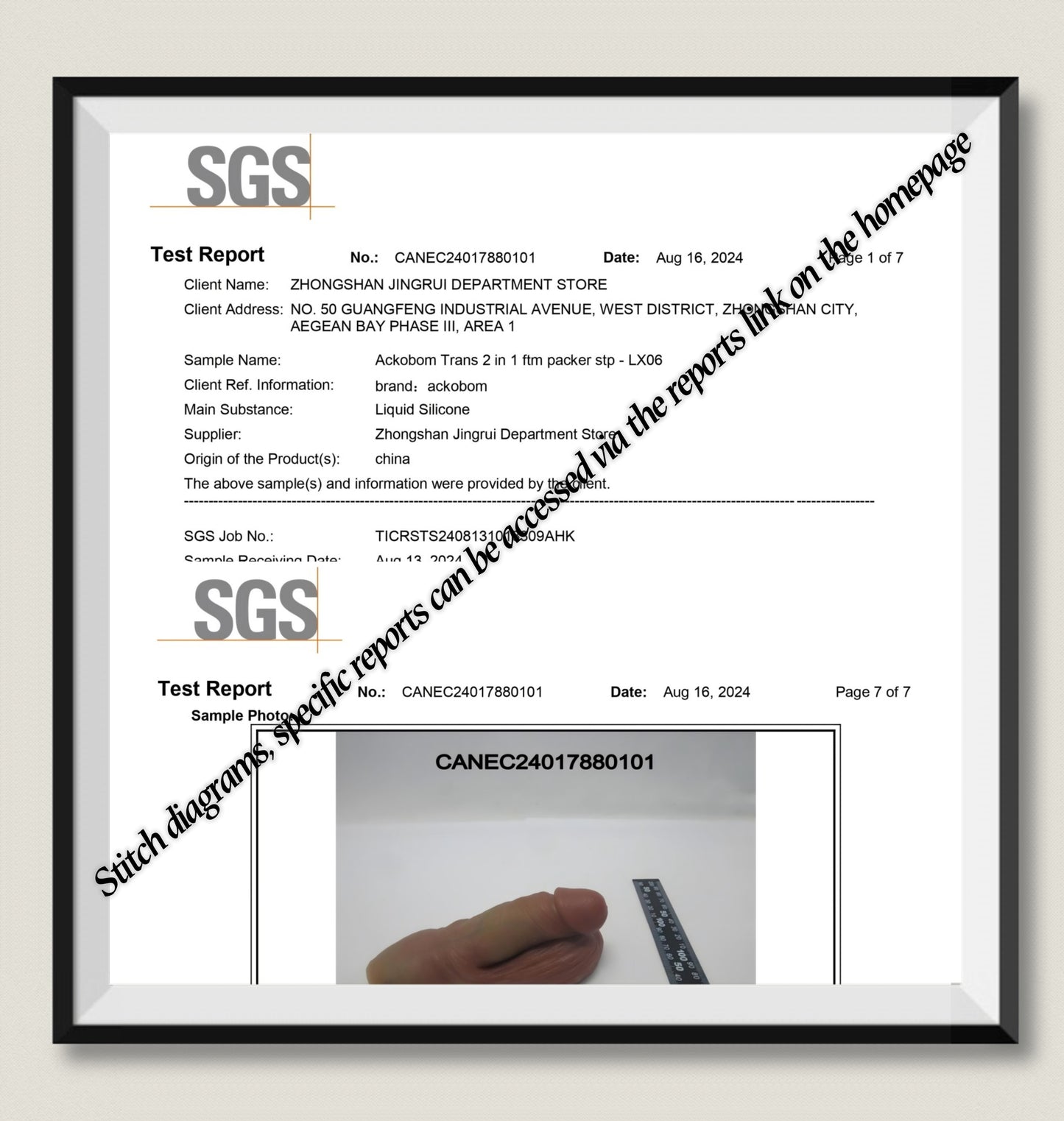 Ackobom  FTM  3 IN 1 Prosthesis ——LX30A