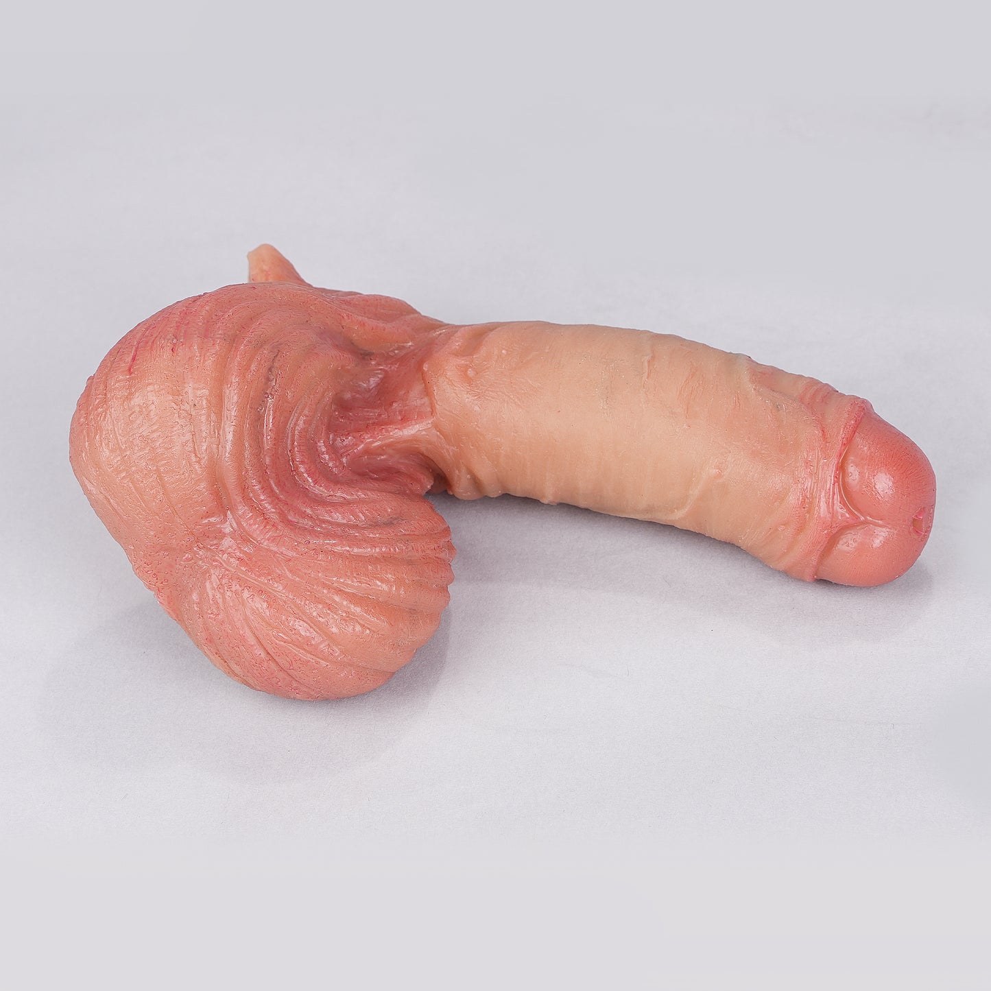 ackobom-trans-2-in-1-ftm-packer-stp-lx11-980790