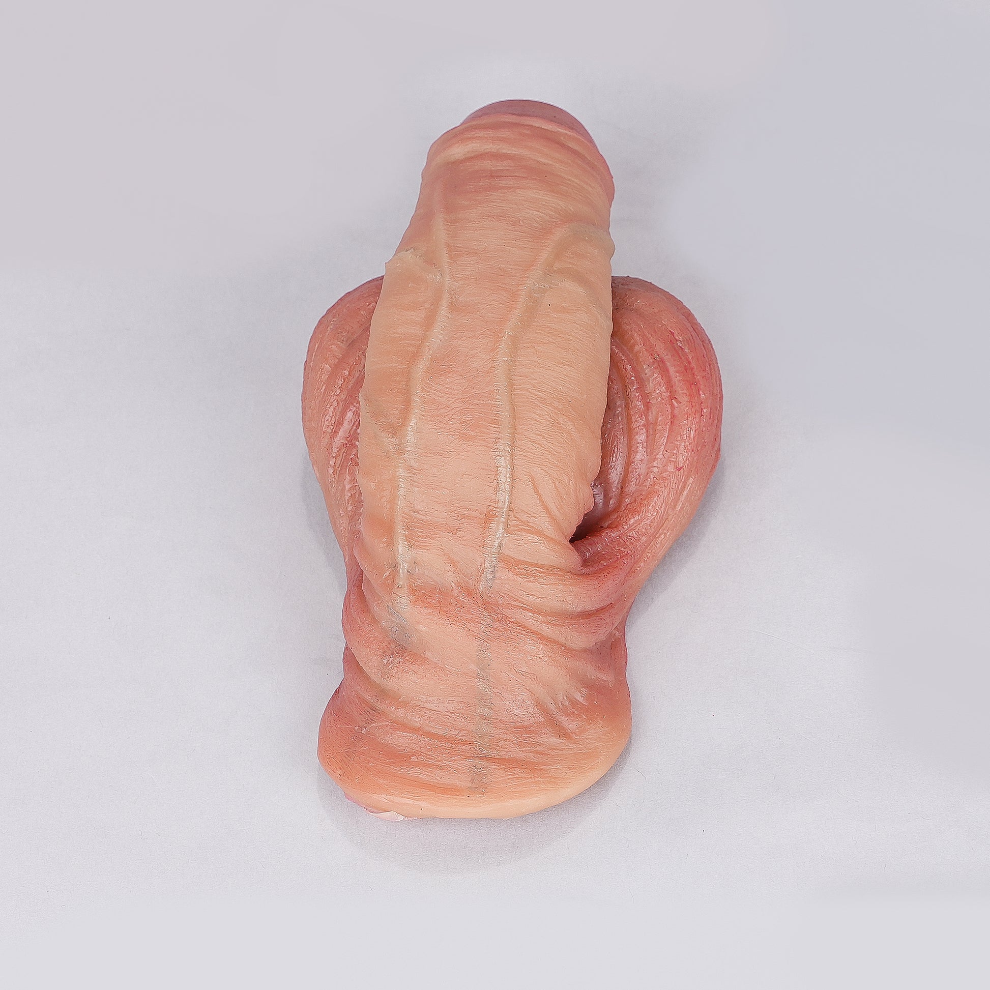 ackobom-trans-2-in-1-ftm-packer-stp-lx11-097809