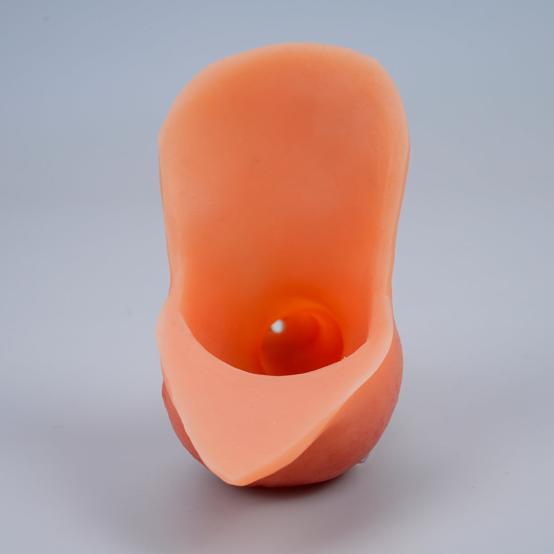 Ackobom  FTMSTP Prosthetic  tom ——LX35