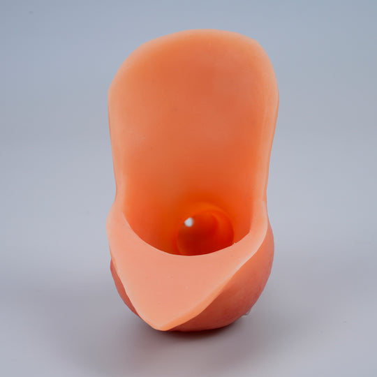 Ackobom  FTMSTP Prosthetic  tom ——LX35