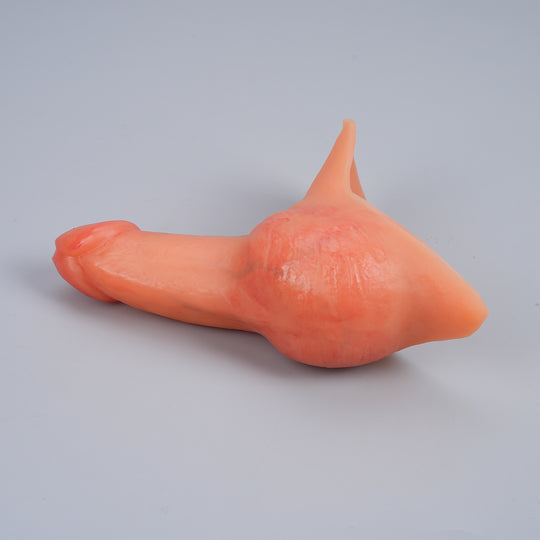 Ackobom  FTMSTP Prosthetic  tom ——LX35