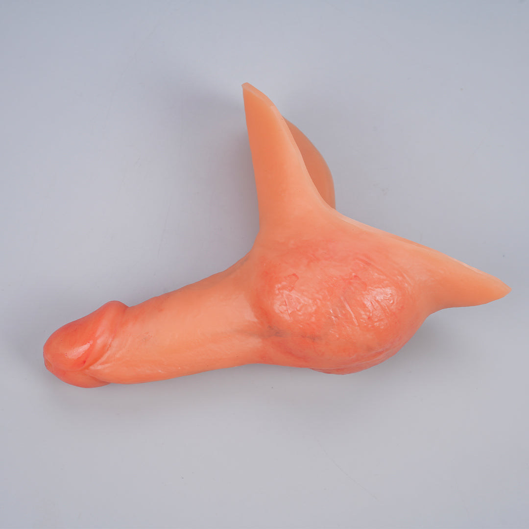 Ackobom  FTMSTP Prosthetic  tom ——LX35